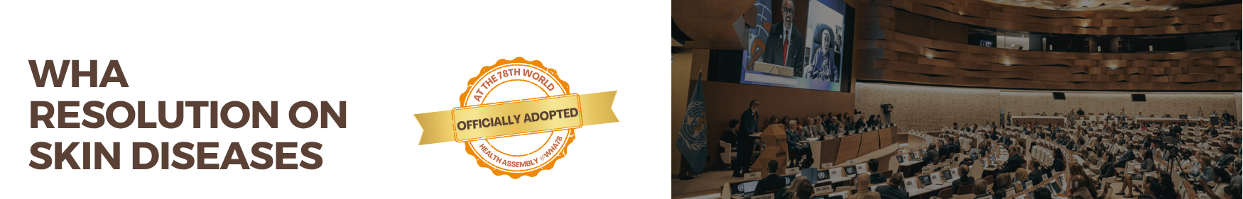 Resolution Banner Inner 1